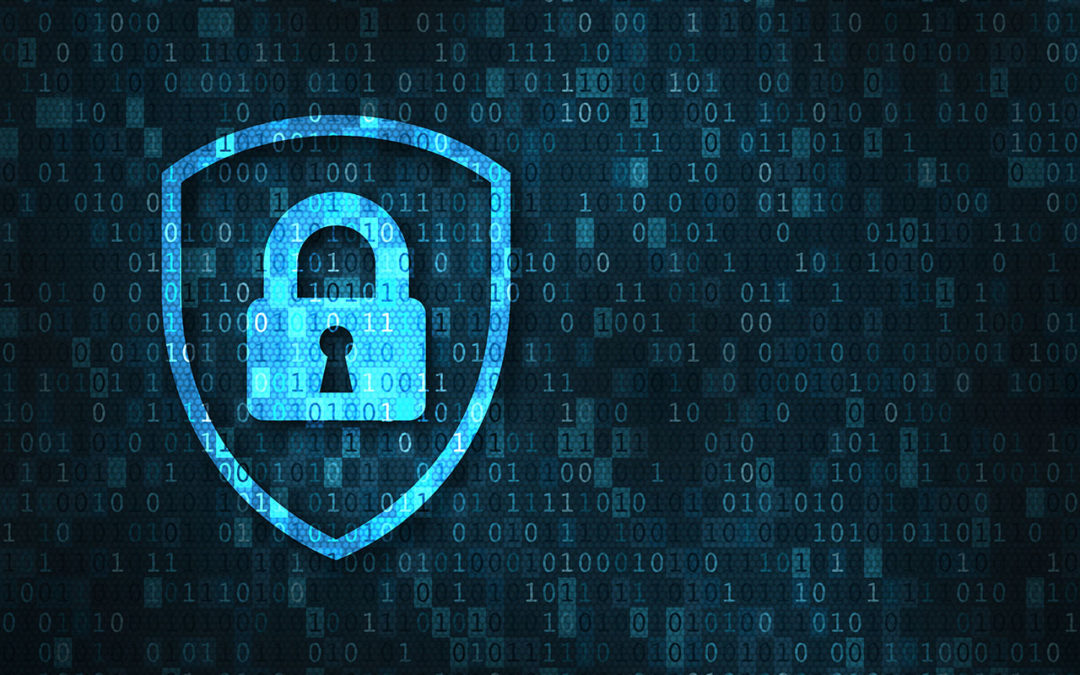 Data Privacy Week + More